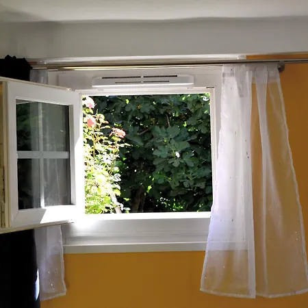 L'atelier De Papy D'albi - Parking - Centre Accessible à Pied