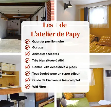 L'atelier De Papy D'albi - Parking - Centre Accessible à Pied Albi